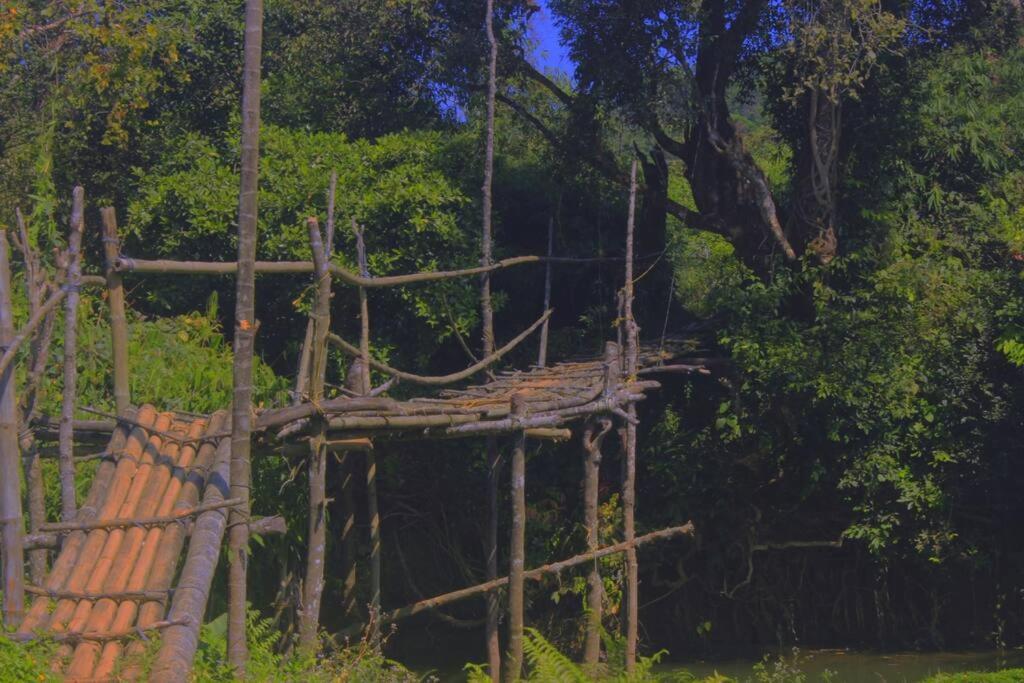 Велламундра: Thondar Homestays