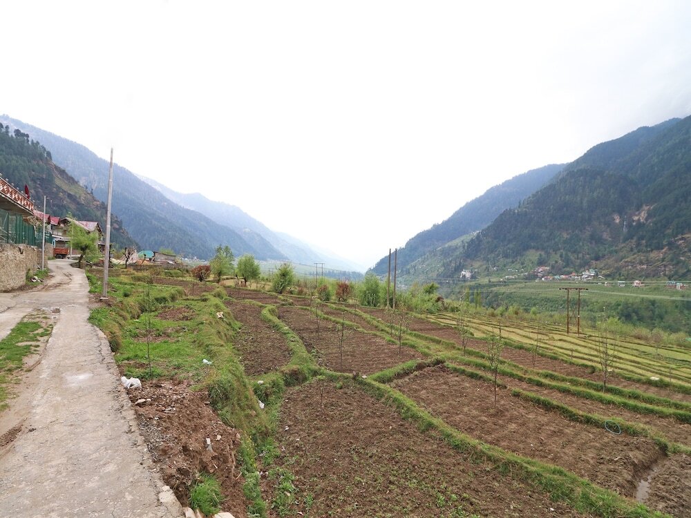 Манали: OYO 13697 Home Exotic Hill View Studio Naggar Road