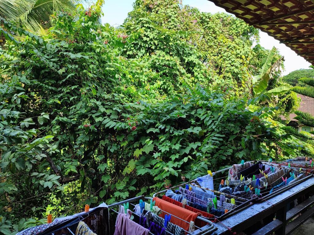 Южный Гоа: True homestay near beach