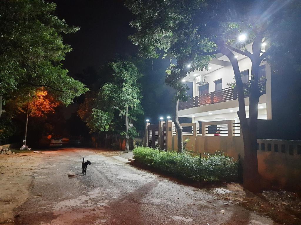 Большая Нойда: The Starling BnB