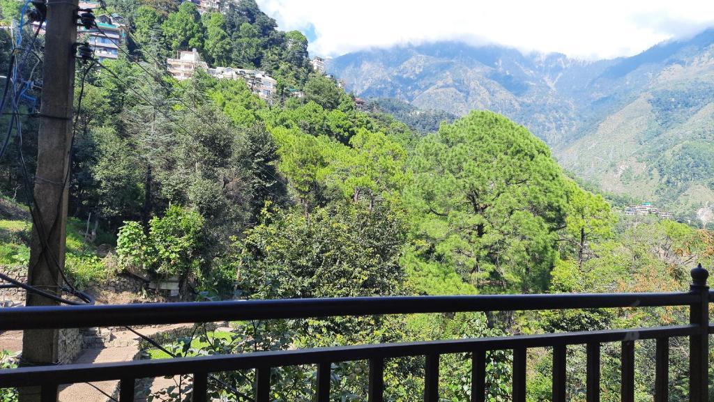 Дармсала: Heaven's View Homestay
