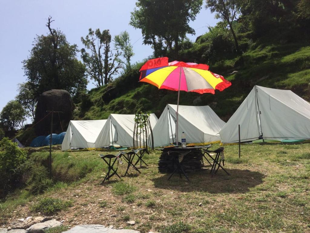 Кангра: Triund Terrestrial Adventure