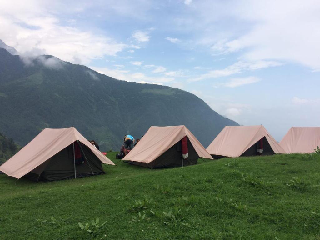 Кангра: Triund Terrestrial Adventure