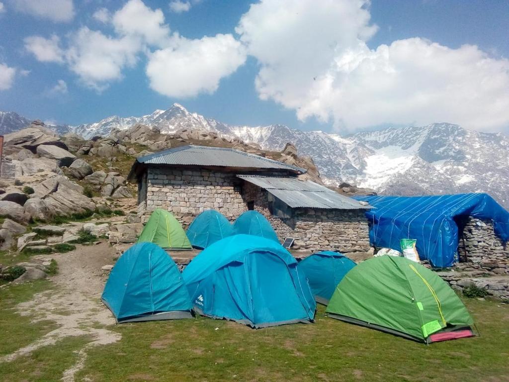 Кангра: Triund Terrestrial Adventure