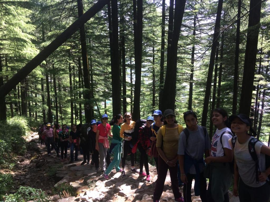 Кангра: Triund Terrestrial Adventure