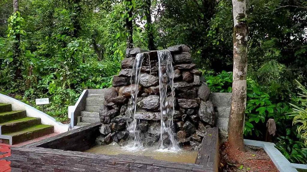 Кушалнагар: Jungle Hill Resort, Coorg