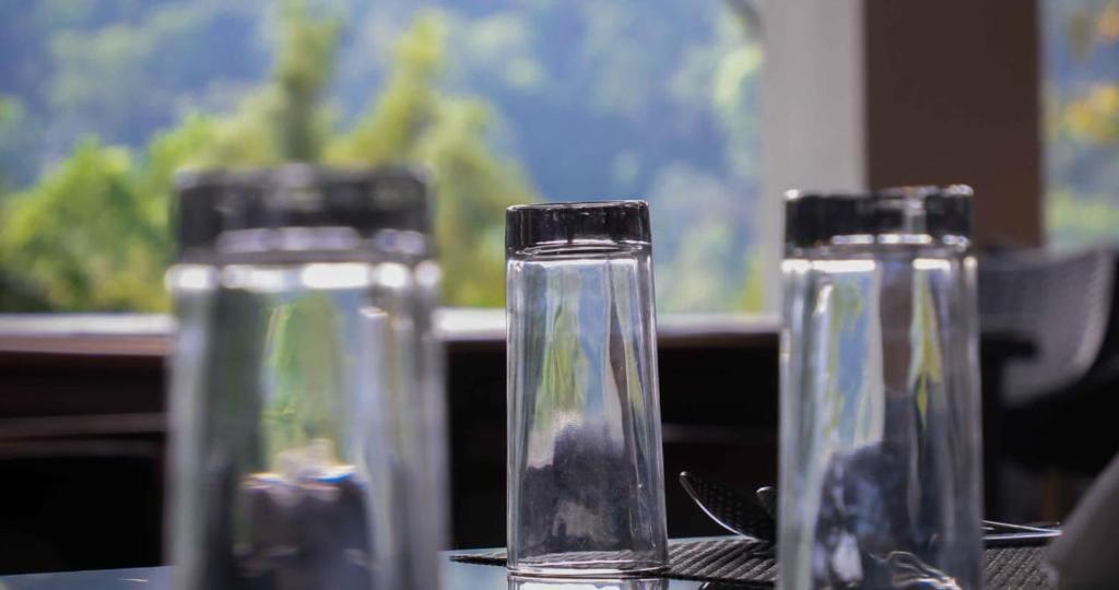 Кушалнагар: Jungle Hill Resort, Coorg