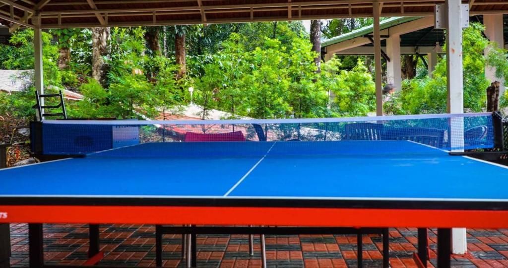 Кушалнагар: Jungle Hill Resort, Coorg