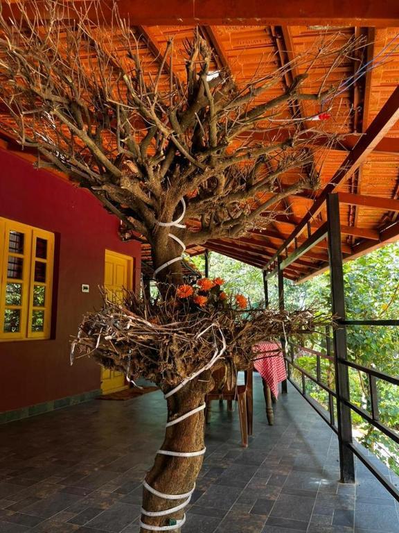 Какабе: The Rural Homestay