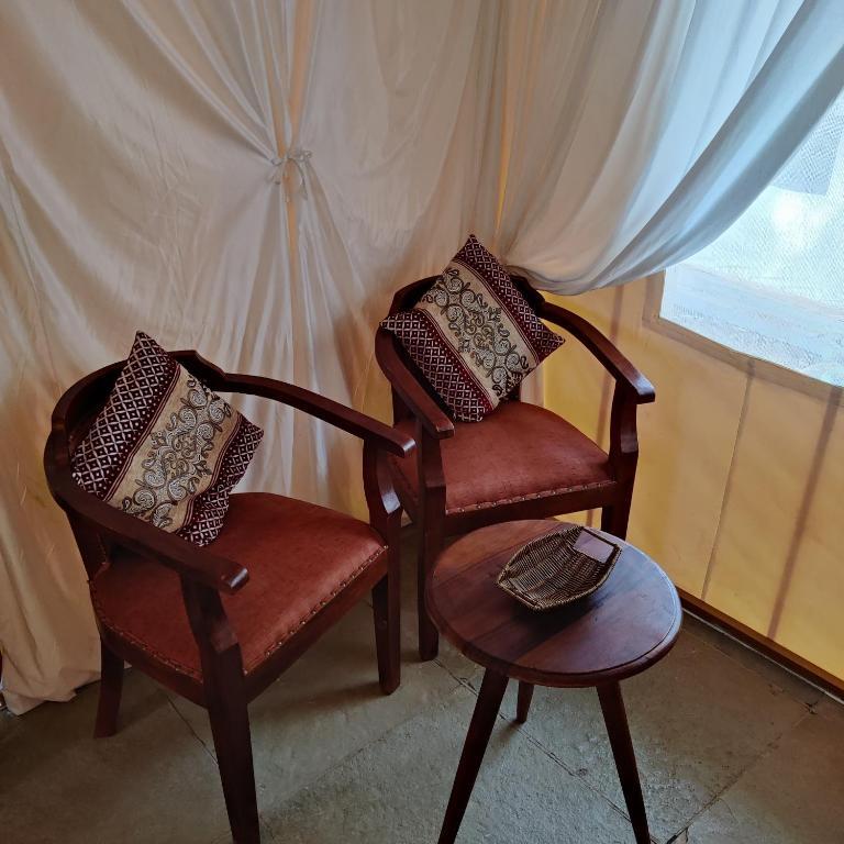 Exotic Stay - a unique experience — фото 4