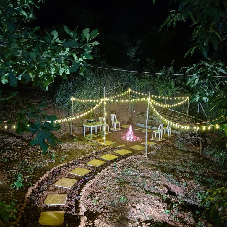 Амби Вэлли Сити: Exotic Stay - a unique experience