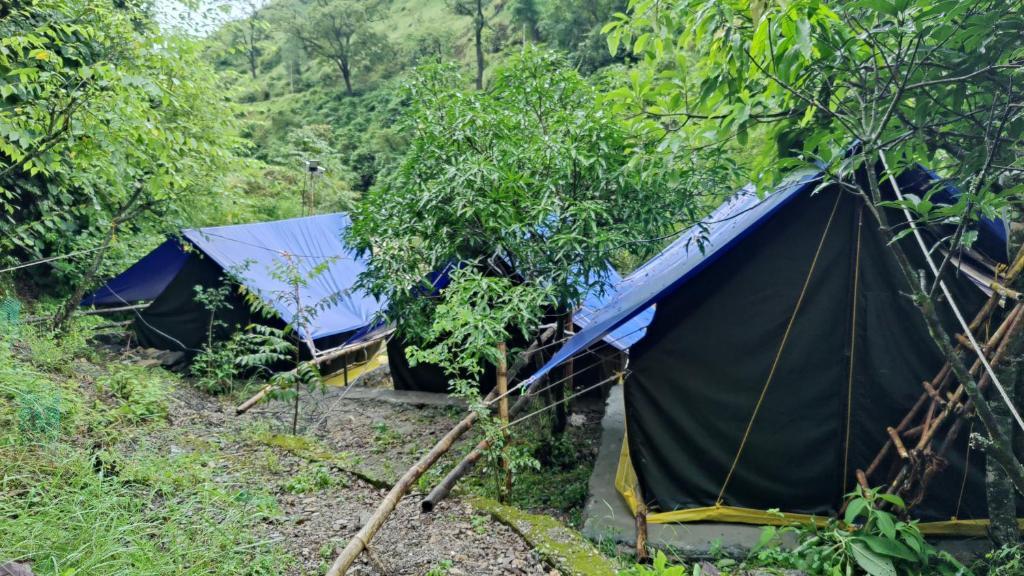 Hobo Rivercamp — фото 4