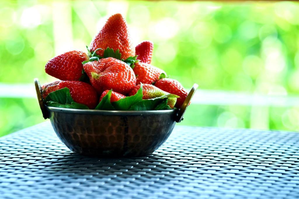 Олд-Махабалешвар: MERIDIAN AC VILLA - Besides Valley View & Strawberry Farms