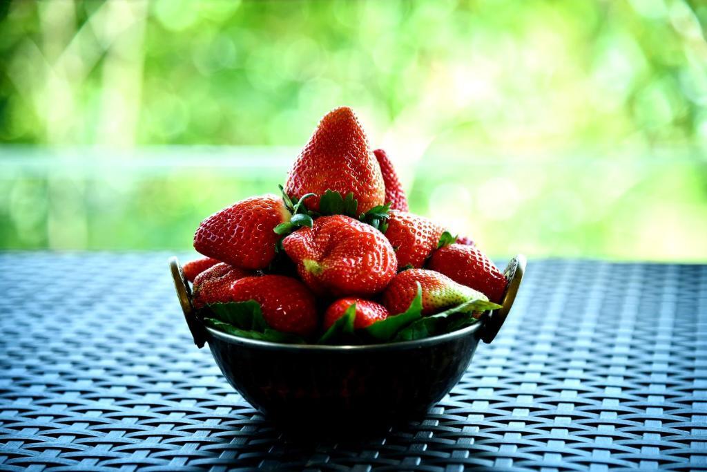 Олд-Махабалешвар: MERIDIAN AC VILLA - Besides Valley View & Strawberry Farms