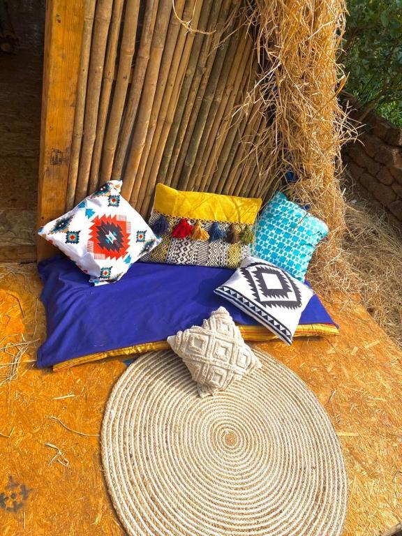Южный Гоа: Hem Eco Farm & Stay