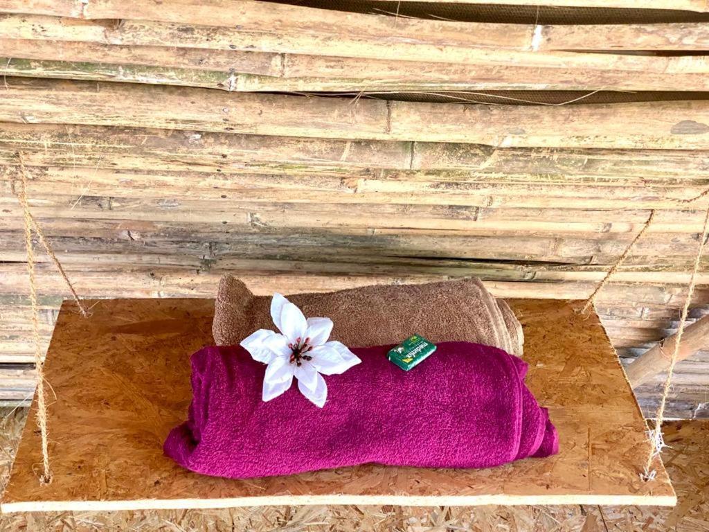 Южный Гоа: Hem Eco Farm & Stay