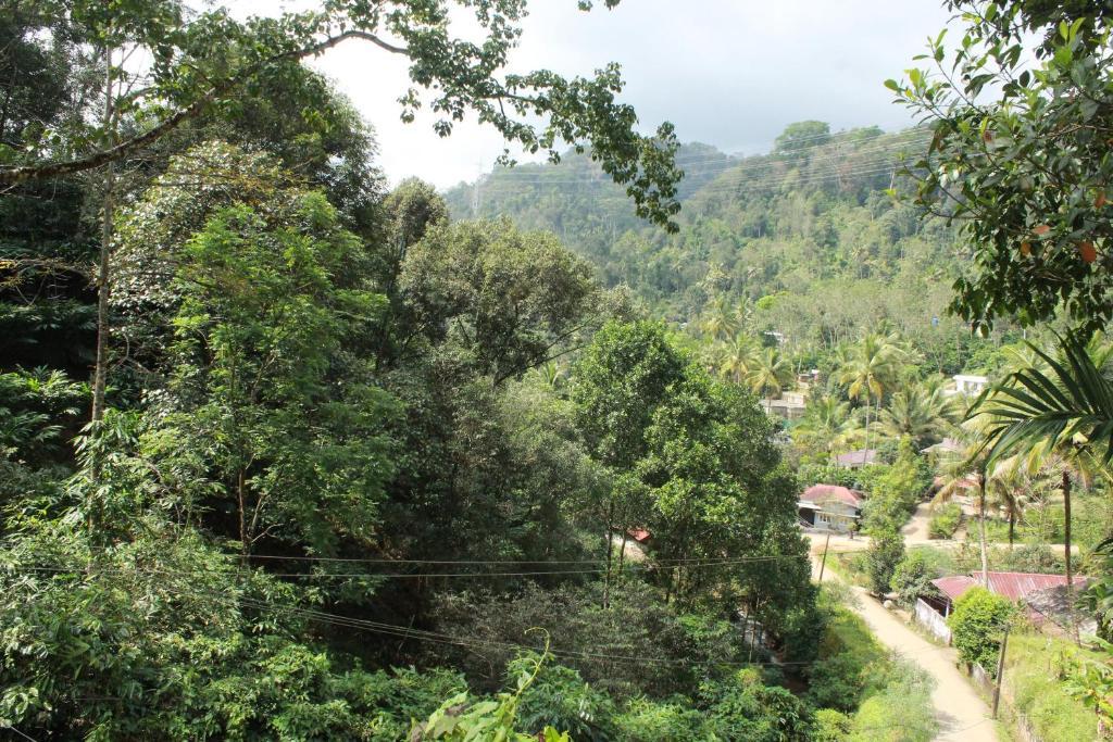 Муннар: The Mountcourt Munnar