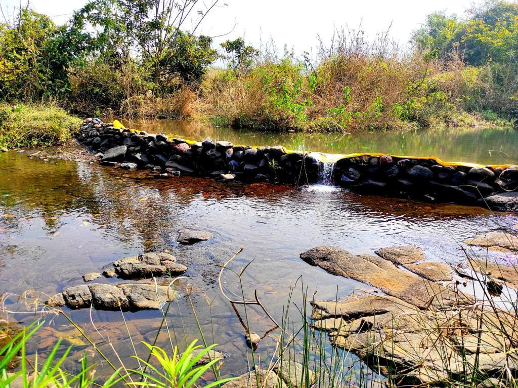 Киим: River Bird (Dalvi's Farm Tourism)