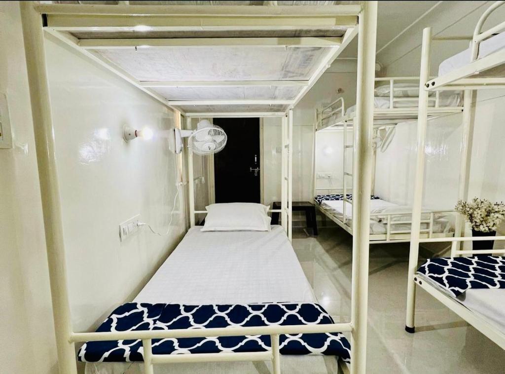 Джайпур: hostel ivory