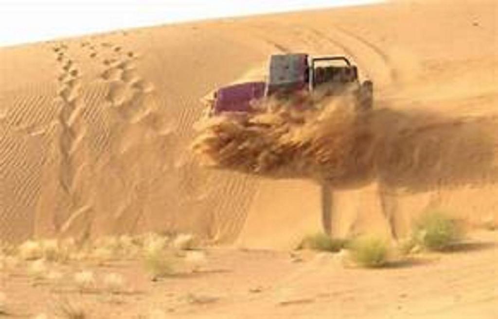 Джайсалмер: Wild Heritage Desert Camp