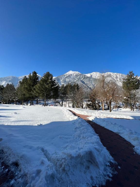 Пахалгам: The Mansion - Pahalgam