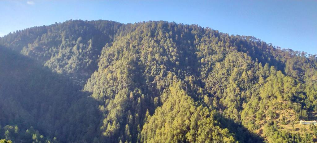 Шимла: Chadwick valley view Home stay