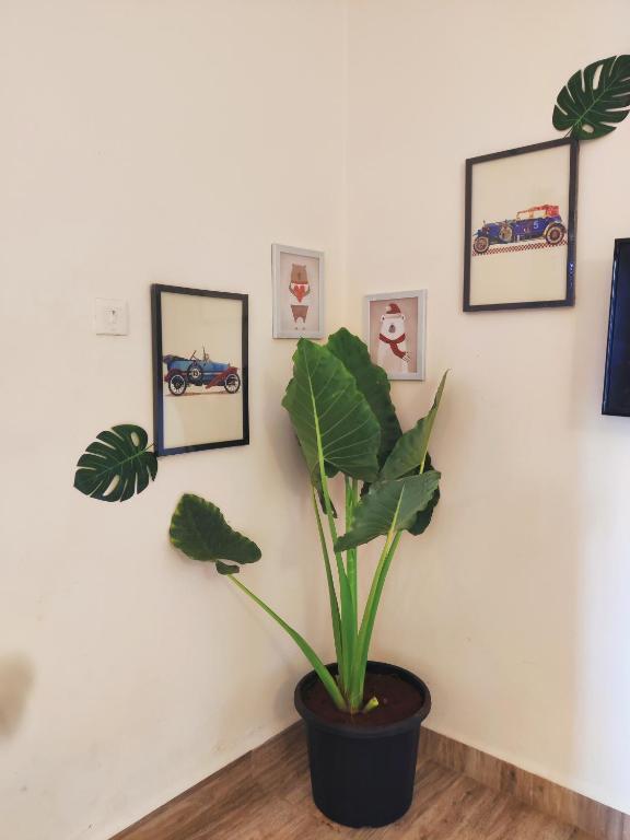Калангут: Calangute House - Quirky Stays