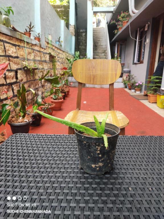 Мадикери: City Stay Marcara