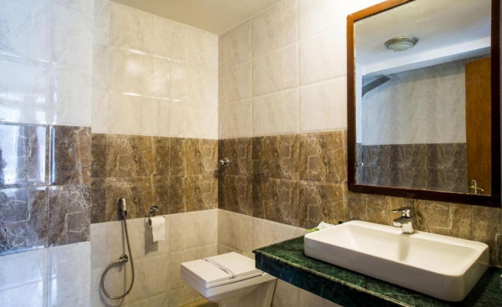 Пахалгам: Hotel Mount View