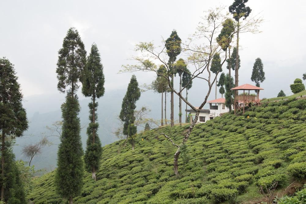Пеллинг: Hotel hill retreat