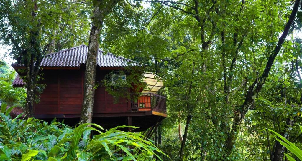 Муннар: Indriya Resorts & Spa