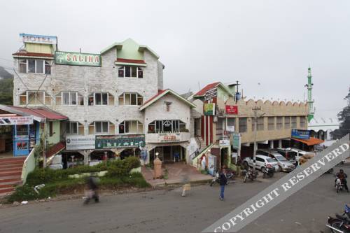 Кодайканал: Hotel Saliha International
