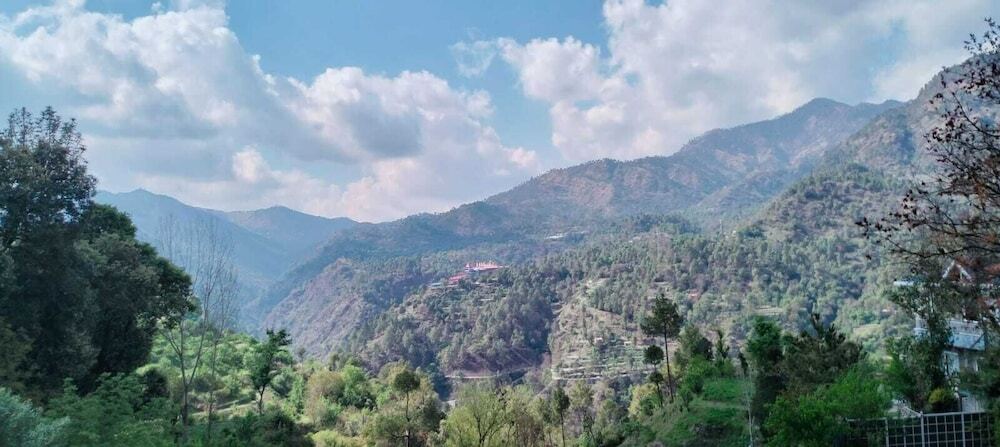 Куфри: Nature Treat Resort