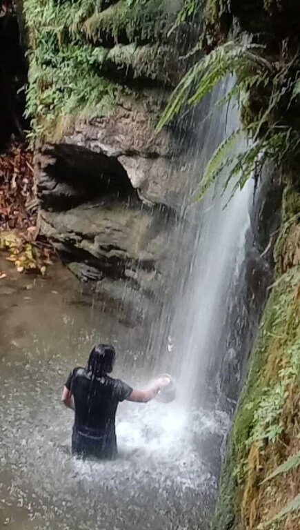 Куфри: Nature Treat Resort