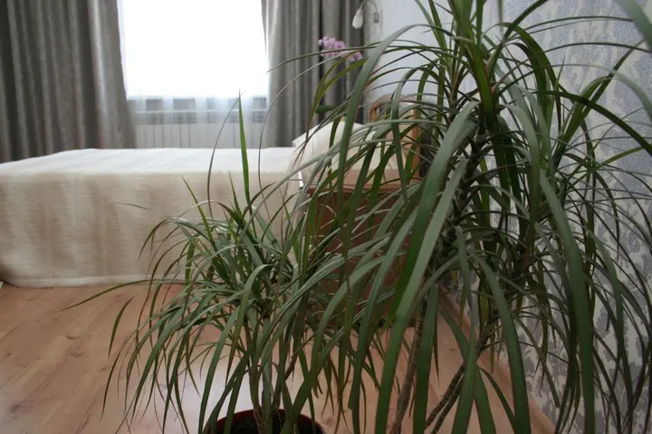 Керчь: Гостевой дом Travel House