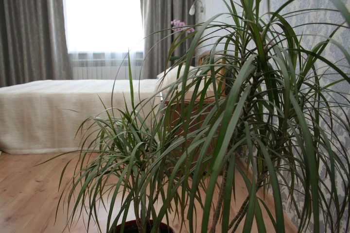 Керчь: Гостевой дом Travel House