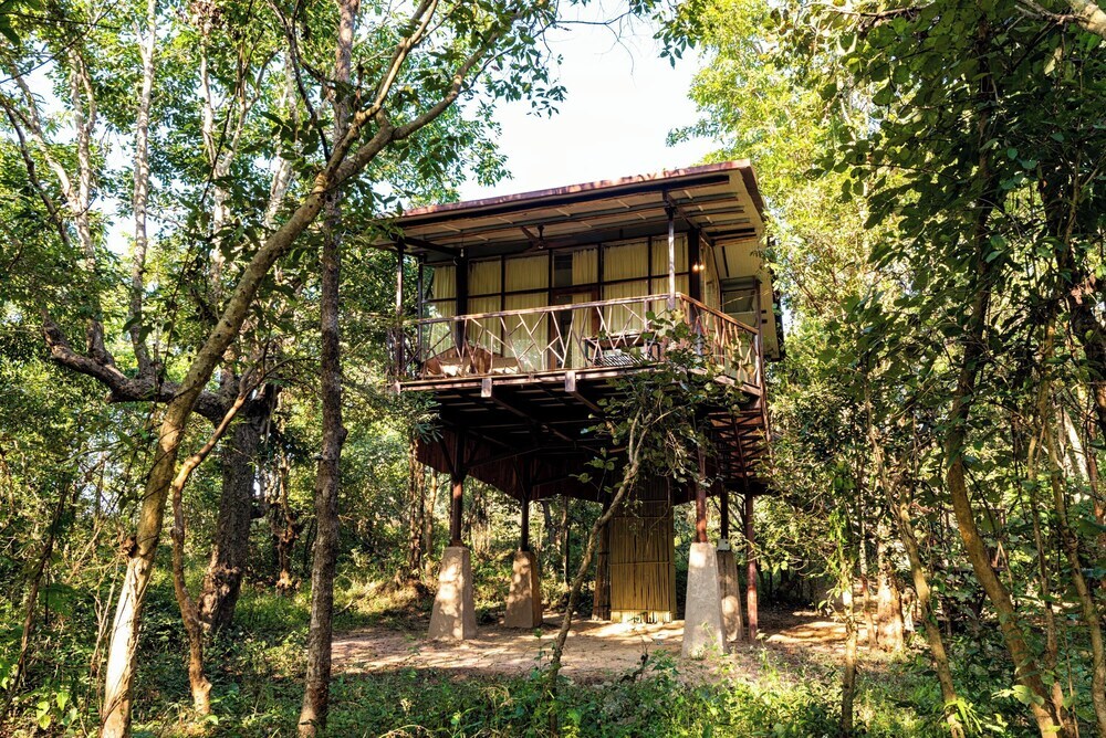Баихар: Kanha Jungle Camp
