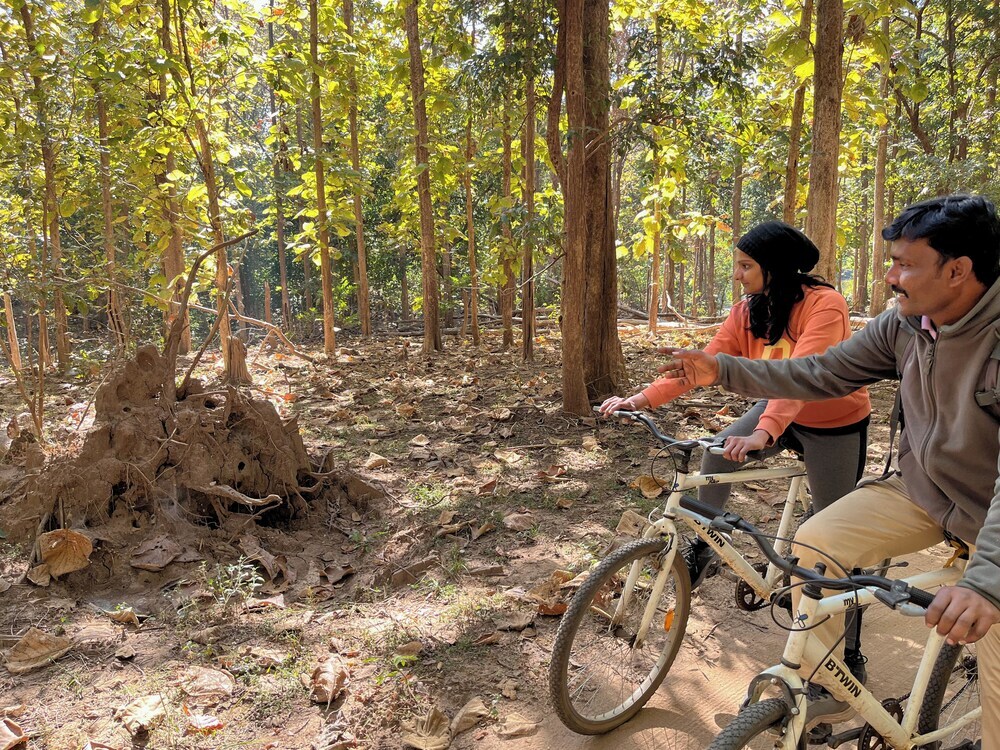 Баихар: Kanha Jungle Camp