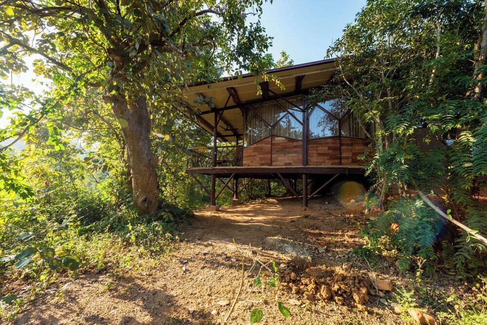 Баихар: Kanha Jungle Camp