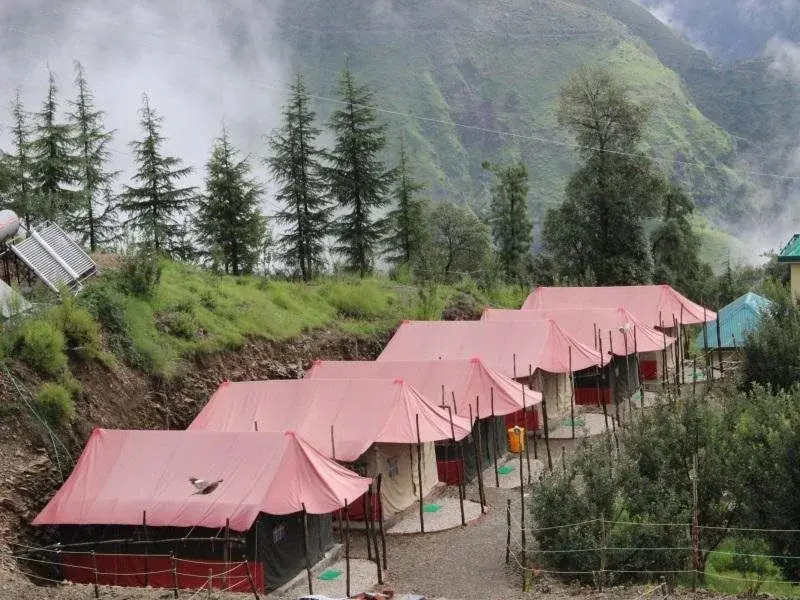 Куфри: Snow Trails Camp