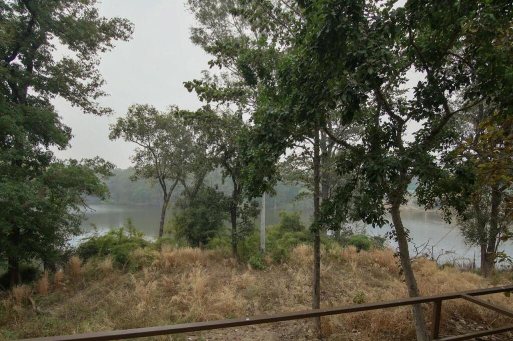 Турья: Rukhad Jungle Camp