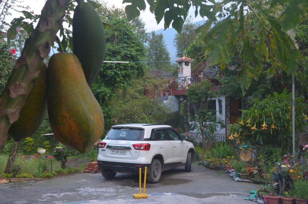 Чамба: Riverside Homestay