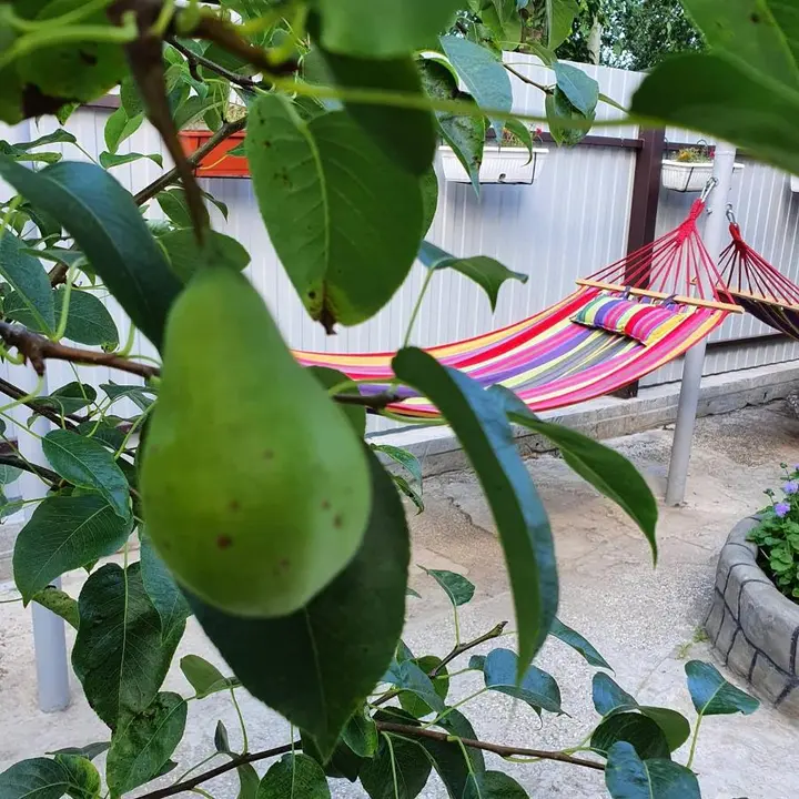 Агой: Guest House Solnechnaya dacha 2