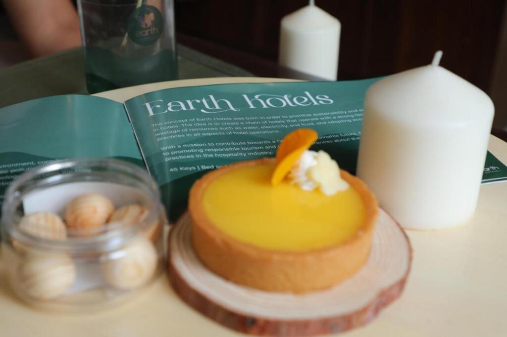Бангалор: Earth Hotels