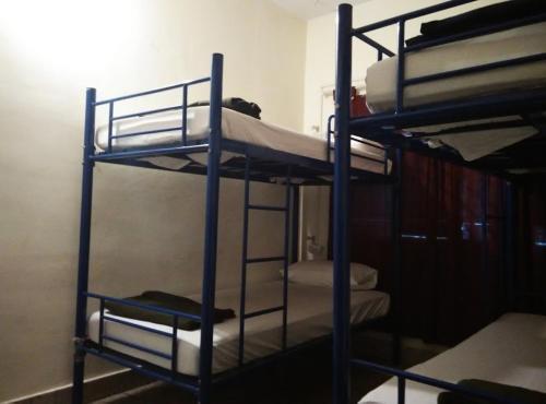 Electric Cats Annexe Hostel — фото 4
