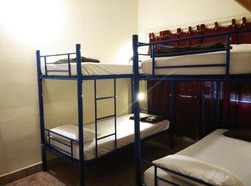 Electric Cats Annexe Hostel — фото 1