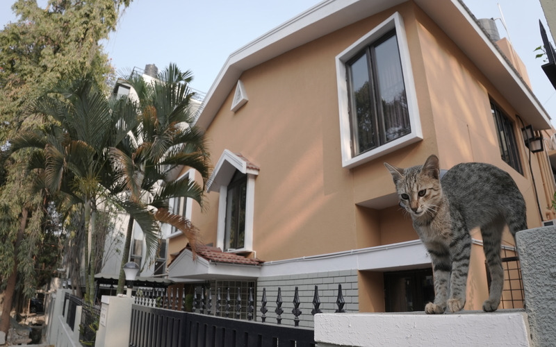 Бангалор: Zylo Hostel