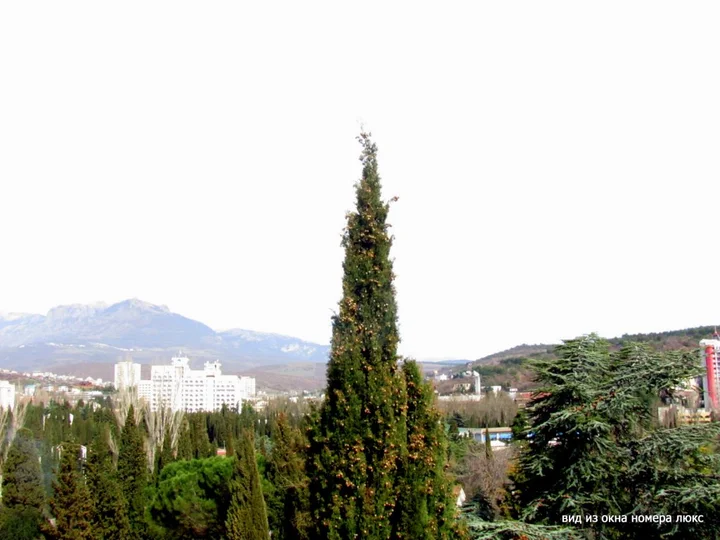 Алушта: Пансионат Таврида