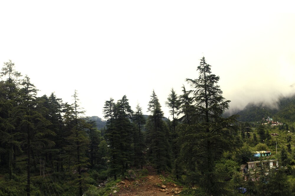 Дармсала: OYO 1153 The Oak Valley