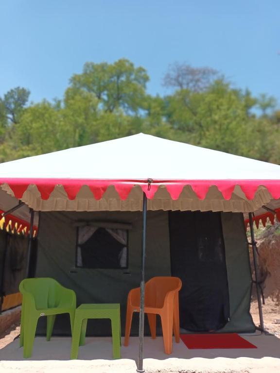 Дармсала: Jannat Hills - Camps Dhrarmshala